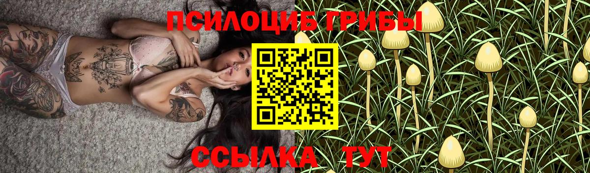 Псилоцибиновые грибы ЛСД  сколько стоит  Лесосибирск  Вход с VPN  Псилоцибиновые грибы Psilocybe 
