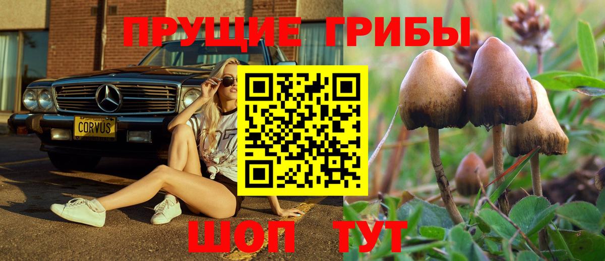 Галлюциногенные грибы Cubensis Лесосибирск