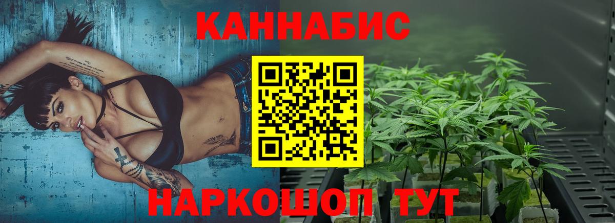 Шишки марихуана сатива Лесосибирск